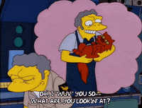 season 9 cat GIF