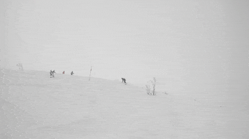 Snow Fail GIF by Outside TV