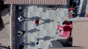 Black History Month GIF by HULU
