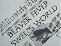 nickrewind nicksplat angry beavers GIF