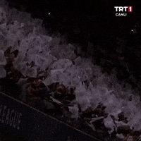Futbol Amsterdam GIF by TRT