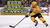 Pittsburgh Penguins Nhl GIF