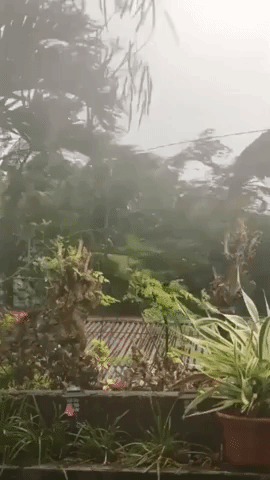 Destructive Winds, Heavy Rain Force Evacuations as Typhoon Rai Hits Central Philippines