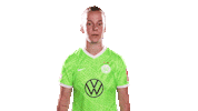 Check This Out Look Here Sticker by VfL Wolfsburg