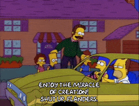 homer simpson episode 10 GIF