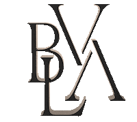 Bodyvision Sticker by BVLA