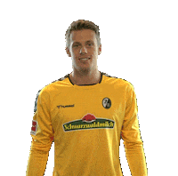 save sc freiburg Sticker by SCF