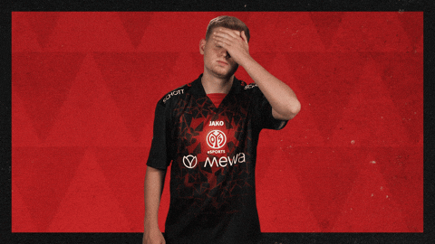 Mainz 05 Football GIF by Bundesliga