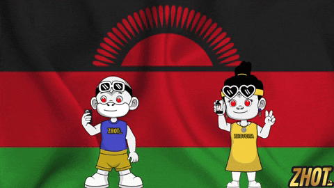 Lake Malawi Flag GIF by Zhotcita