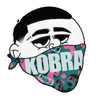 Hip Hop Sticker Sticker by Kobrapaint