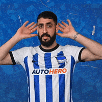 Sport Bundesliga GIF by Hertha BSC
