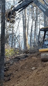 John Deere Trees GIF by JC Property Professionals