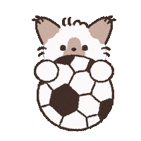 Soccer Ok Sticker by koimoffee