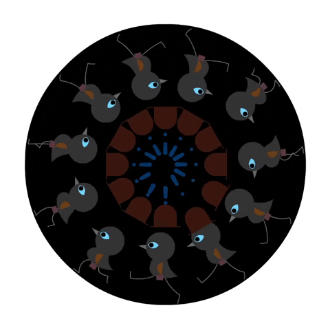 studioaka giphyupload animation birds photoshop GIF