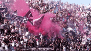 GIF by Inter Miami CF