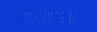 America Voting GIF by Markpain
