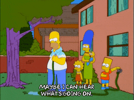 homer simpson GIF