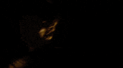 Metal Counterparts GIF by Pure Noise Records