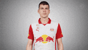 I See You GIF by FC Red Bull Salzburg