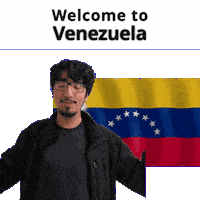 Venezuela Ve Sticker