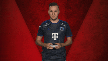 Fifa Hamburg GIF by Bundesliga