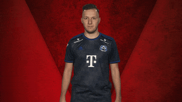 Fifa Hamburg GIF by Bundesliga