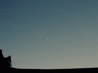 Country Music Horse GIF by Shaboozey