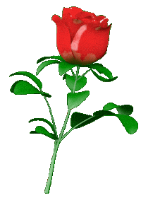 I Love You 3D Sticker by Simon Falk