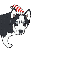 AmandaCreatesYT dog celebrate holiday merry christmas Sticker