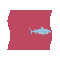 Pink Sea Sticker by Paul&Shark