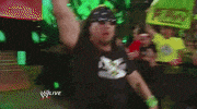 d-generation x wrestling GIF by WWE