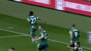 Celebration Goal GIF by Sheffield Wednesday Football Club