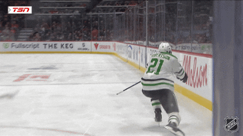 Happy Dallas Stars GIF by NHL