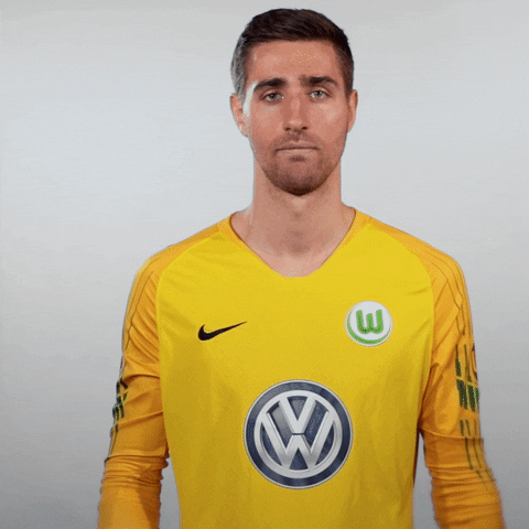World Cup Football GIF by VfL Wolfsburg