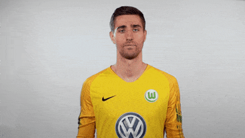 world cup football GIF by VfL Wolfsburg