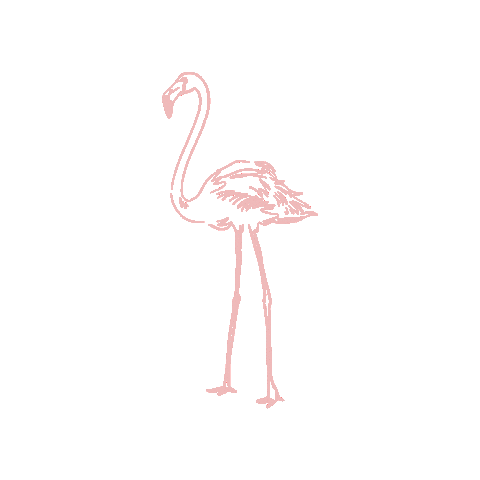 dogoodbeauty giphygifmaker flamingo boutique do good beauty Sticker