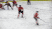 Junior Hockey Canada GIF by Powell River Kings Junior Hockey