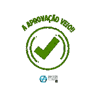 Aprovado Sticker by Escola Thathi