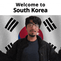 South Korea GIF
