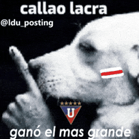 Liga De Quito GIF