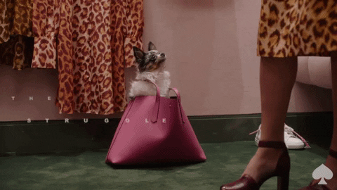 Video gif. We see a tiny white dog in a pink handbag on the floor, while a person in a leopard print dress stands in the foreground. The handbag starts to tip over, and the person crouches to catch the dog. Text, "The struggle is real."