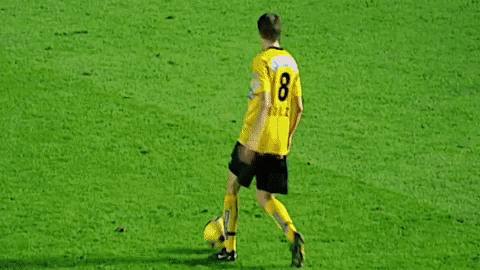 Sturm Graz Goal GIF by SK Sturm