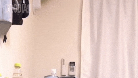 Cat What GIF by DRODIAN™ BRAND
