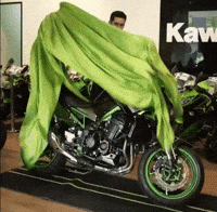 Roadies GIF