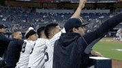 Happy New York Yankees GIF by Jomboy Media