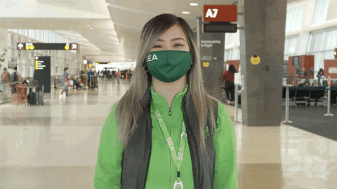 Happy Sea GIF by Seattle-Tacoma International Airport