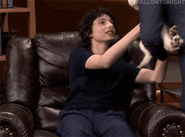tonight show dogs GIF by The Tonight Show Starring Jimmy Fallon