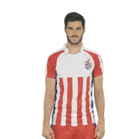 Heroisl Sticker by Indian Super League