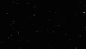 bettermarketing_firm marketing better firm bettermarketingfirm GIF