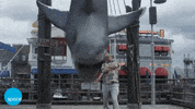 GIF by Space